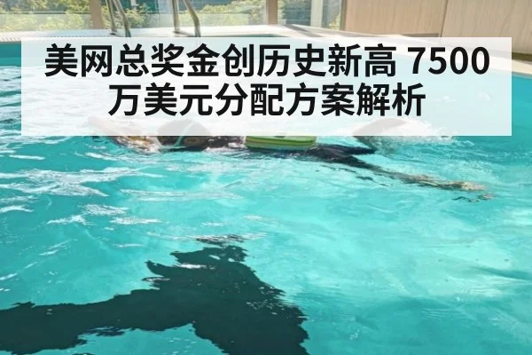 美网总奖金创历史新高 7500万美元分配方案解析 | nine game