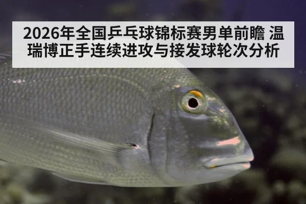 2026年全国乒乓球锦标赛男单前瞻 温瑞博正手连续进攻与接发球轮次分析 | nine game